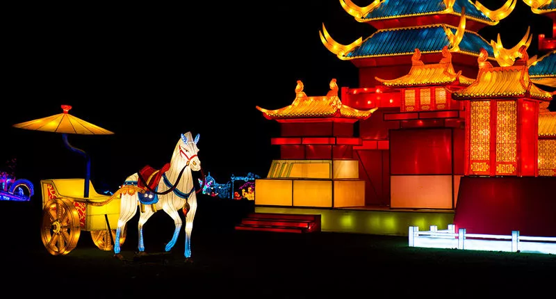 Horse and castle at night